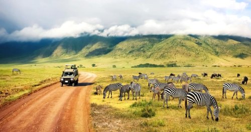 10 Best Safaris In Africa For Travelers On A Budget