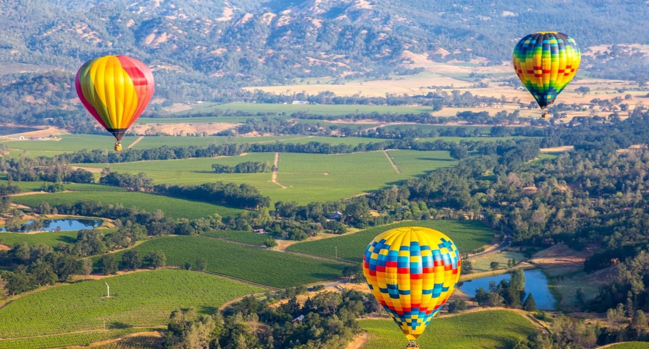San Francisco To Napa Valley: How To Plan The Perfect Day Trip Itinerary