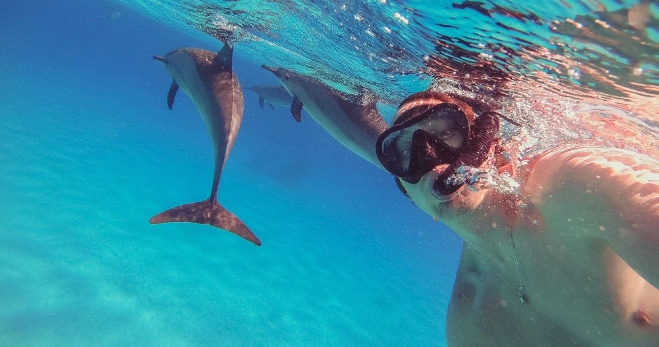 Combine Dolphin Watching With Snorkeling On This Exciting Key West Tour