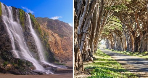A Guide To Hiking Point Reyes National Seashore