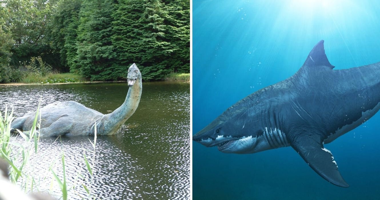 Loch Ness, Kraken, And Other Mythical Creatures Worth Taking To The Sea For