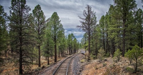 These Are The Cheapest Scenic Train Rides To Take Around The U.S.