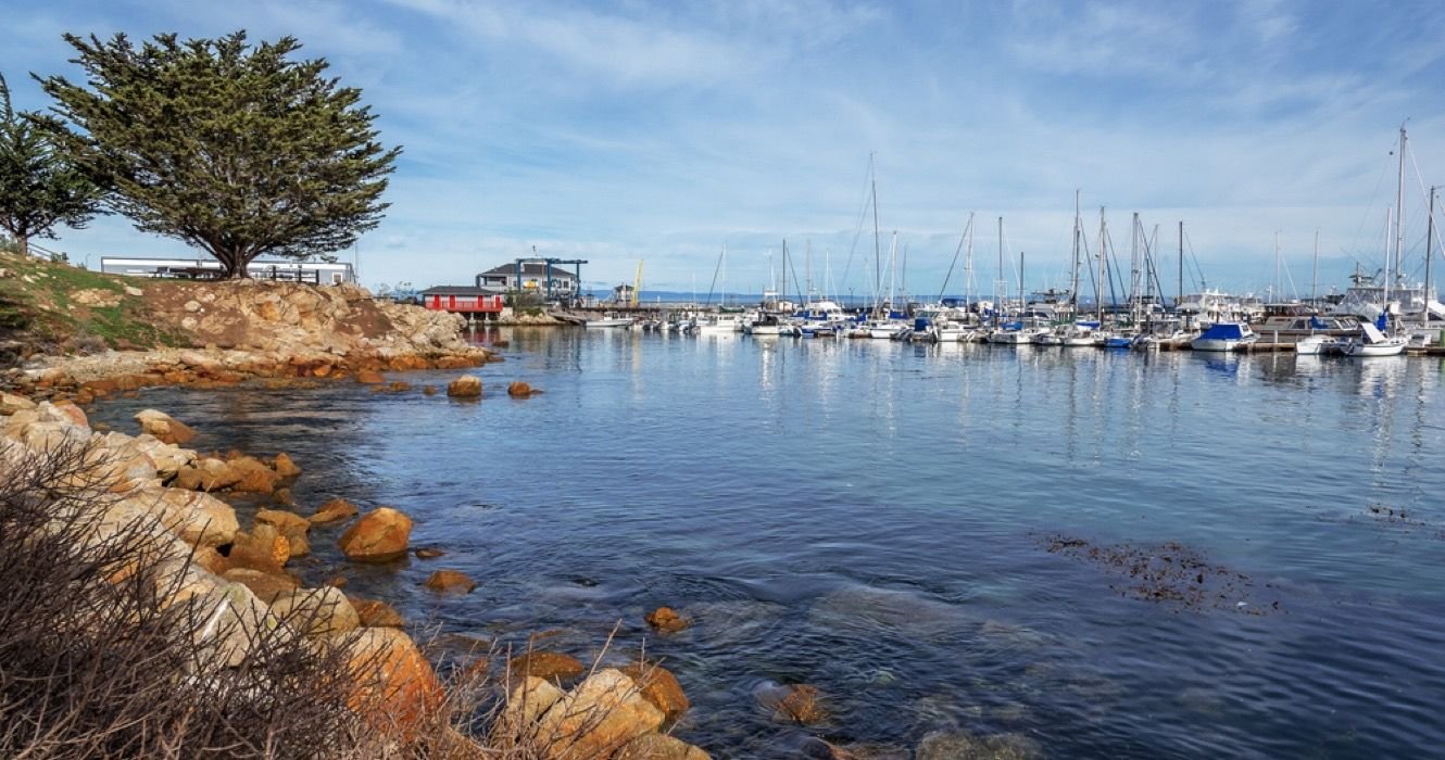 Guide To Monterey Bay National Marine Sanctuary