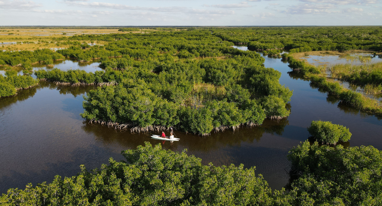 Florida Is More Than The Everglades, Try Exploring Big Cypress National Preserve Instead