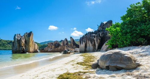 10 Beautiful Places In Seychelles You Just Have To Visit