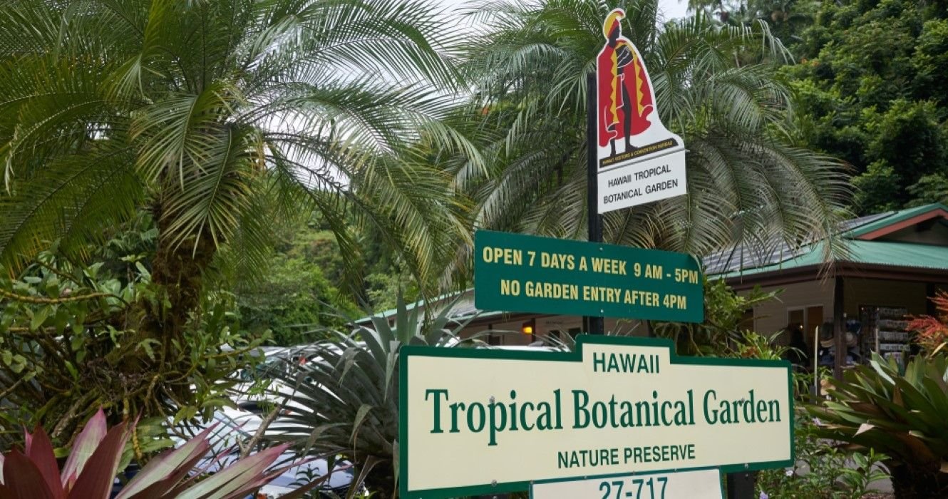 See The Best Of Hawaii's Tropical Plant Life At This Big Island Botanical Garden