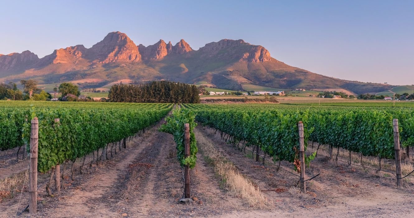 An Insider's Guide To Wine Tourism In South Africa