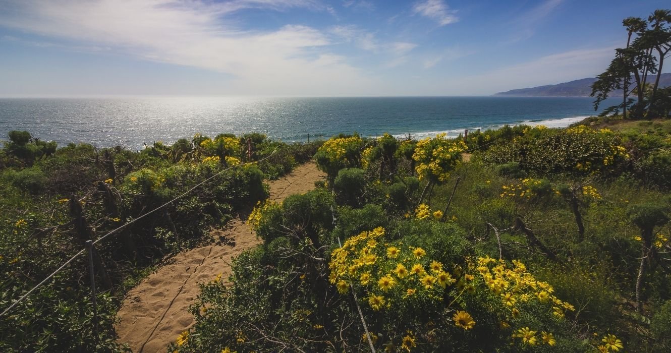 Best California Coast Hiking: Malibu Trails You Can't Miss