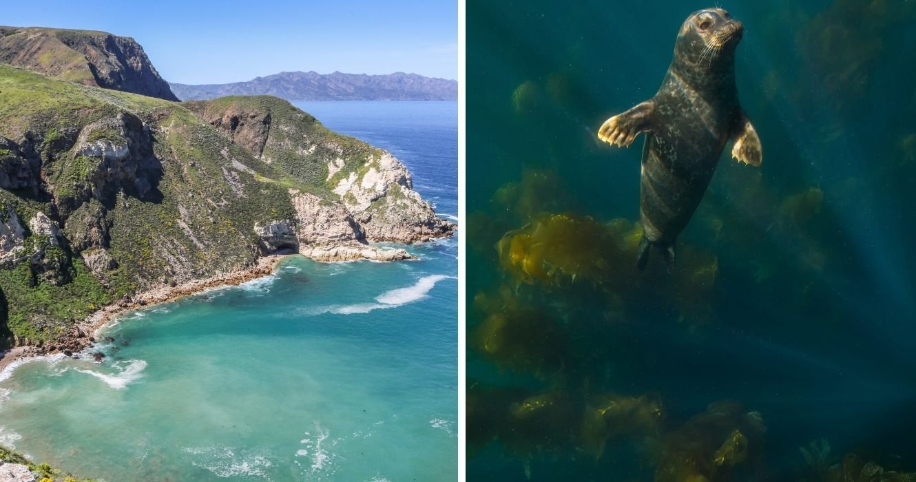 Channel Islands National Park Is California's Most Exotic Off-Shore Destination