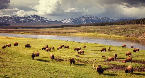 Magazine - USA TRAVEL
