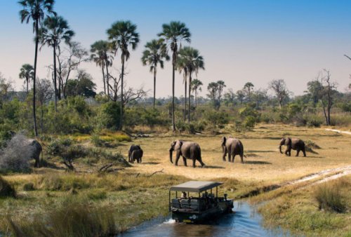 Top 7 Countries in the World for Safari Holidays in 2023