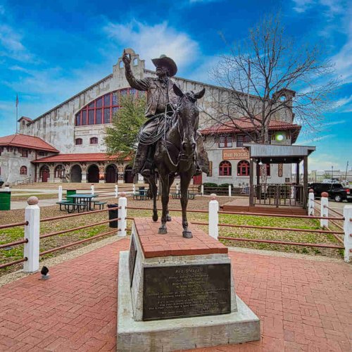 15 Fun Things to Do in the Forth Worth Stockyards