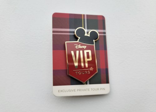 Are Disney World VIP Tours Worth It?