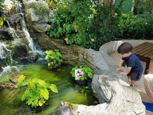 Best Things to do in Chicago With Toddlers (According to a Local)