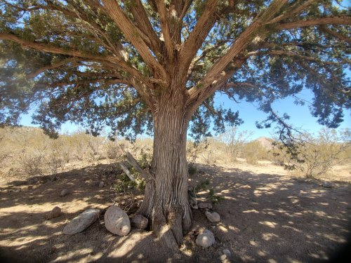 CDT Days 3-5: Hachita to Lordsburg