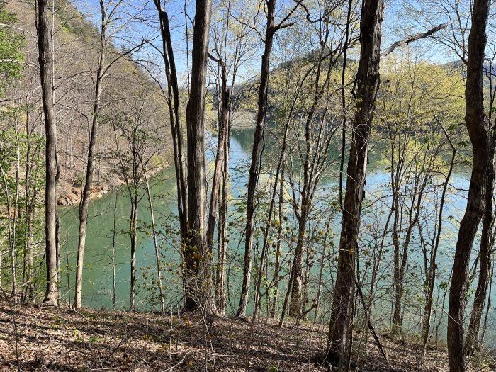 The end of Tennessee