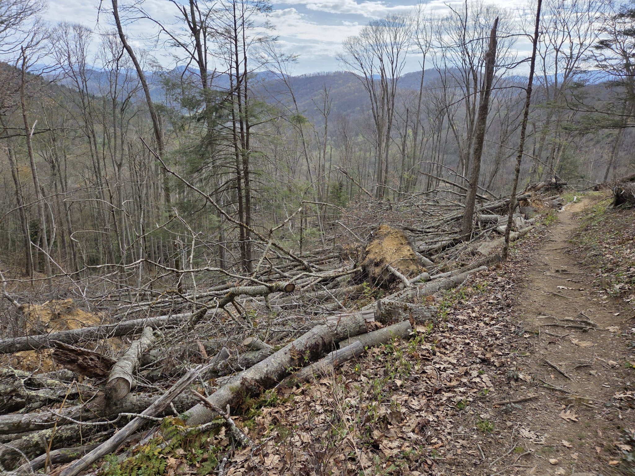 Appalachian Trail Section Devastated by Hurricane Helene Reopens After Nearly 2 Years