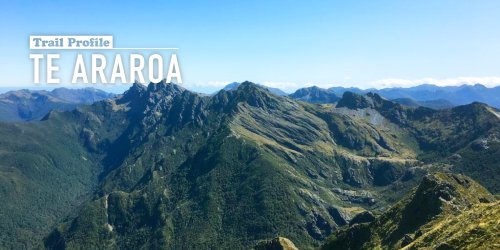 Trail Profile: The Te Araroa, Your Guide to the Best Way of Experiencing New Zealand