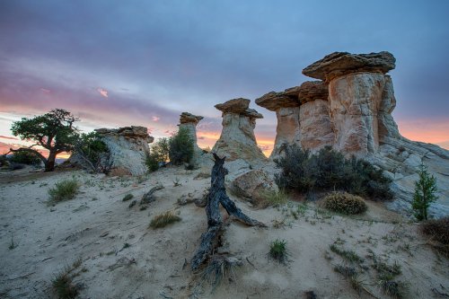 Trump Shrinks 2 Utah National Monuments By 90% Each in Ongoing Public Lands Fight