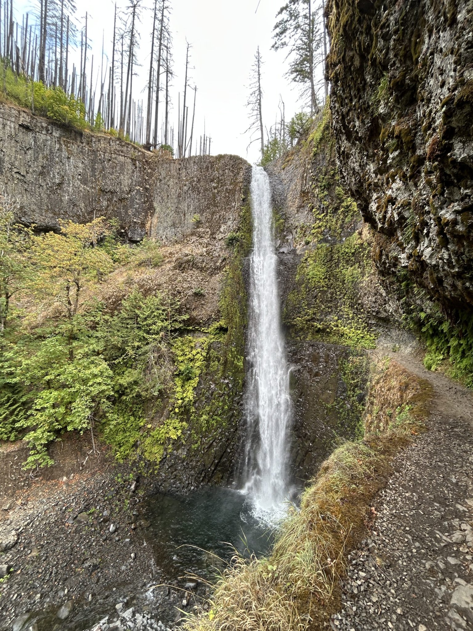 Oregon Odyssey