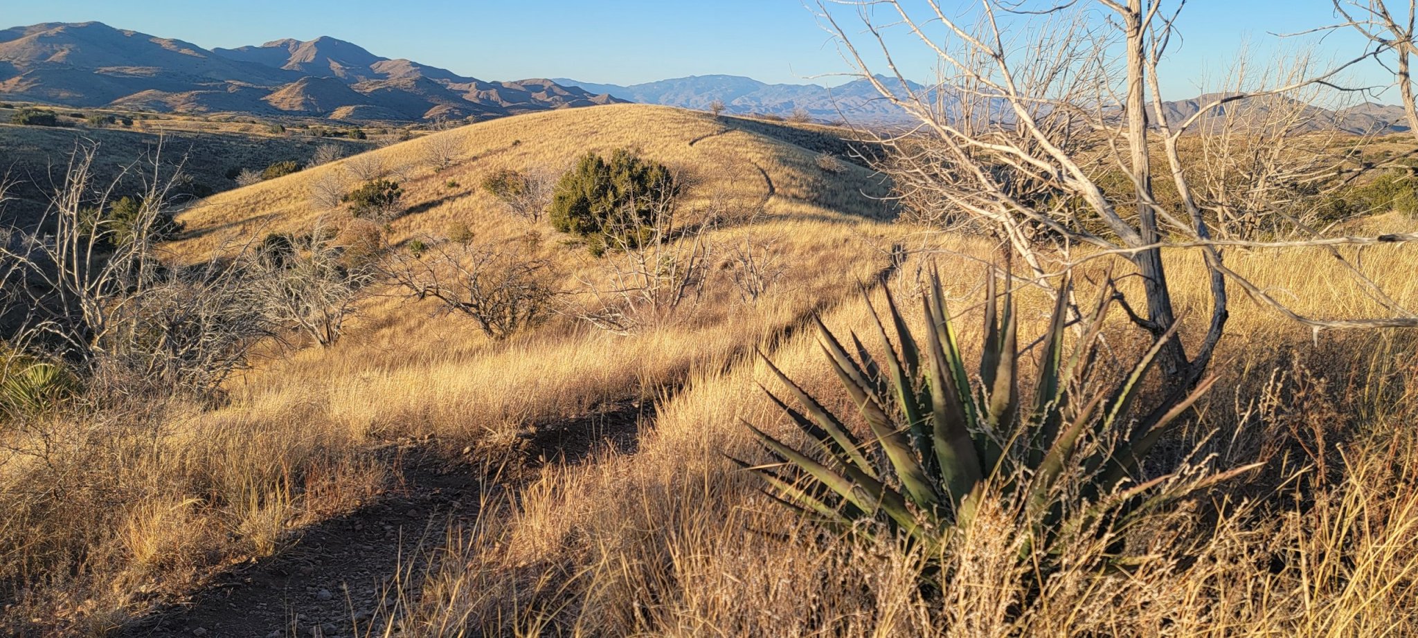 The Arizona Trail: Patagonia to Vail