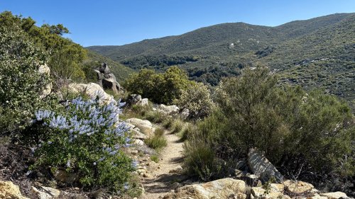 Emotions and experiences on the first 275 miles of the PCT