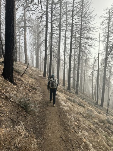 PCT Days 20 to 29 – Finally Getting Trail Legs