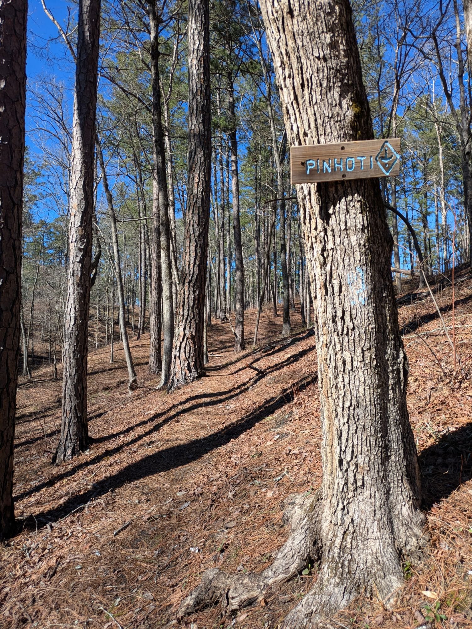The Waters And Ravines of the Pinhoti (ECT Days 76)