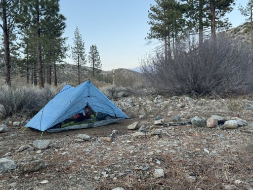 Out of Big Bear