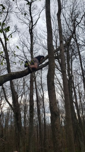 Day 42 – The Trouble with Bear Hangs