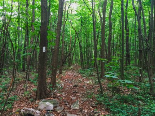Pennsylvania: Must-See Day Hikes on the Appalachian Trail - The Trek