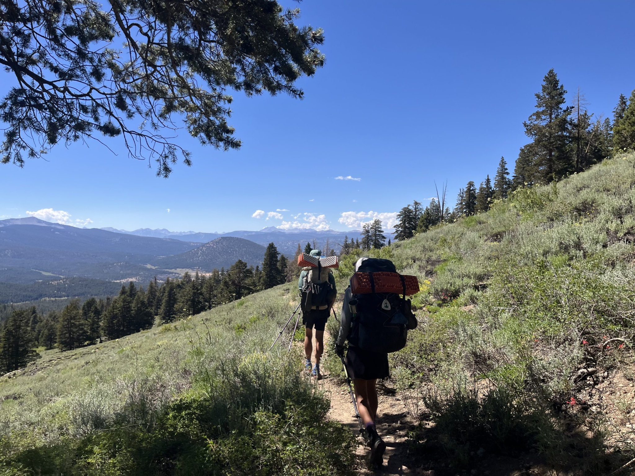 Ch. 50 – Sunburned Legs & Scenic Views
