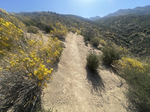 Big Bear to Wrightwood