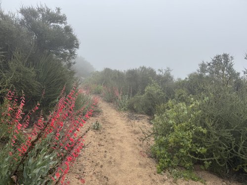 Day 28 – It’s Wet