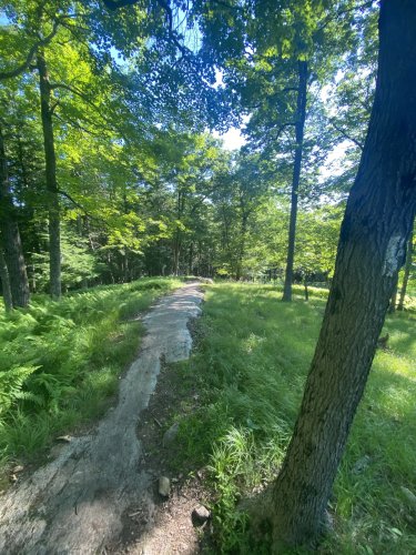 Hiking Home: AT Days 80-82