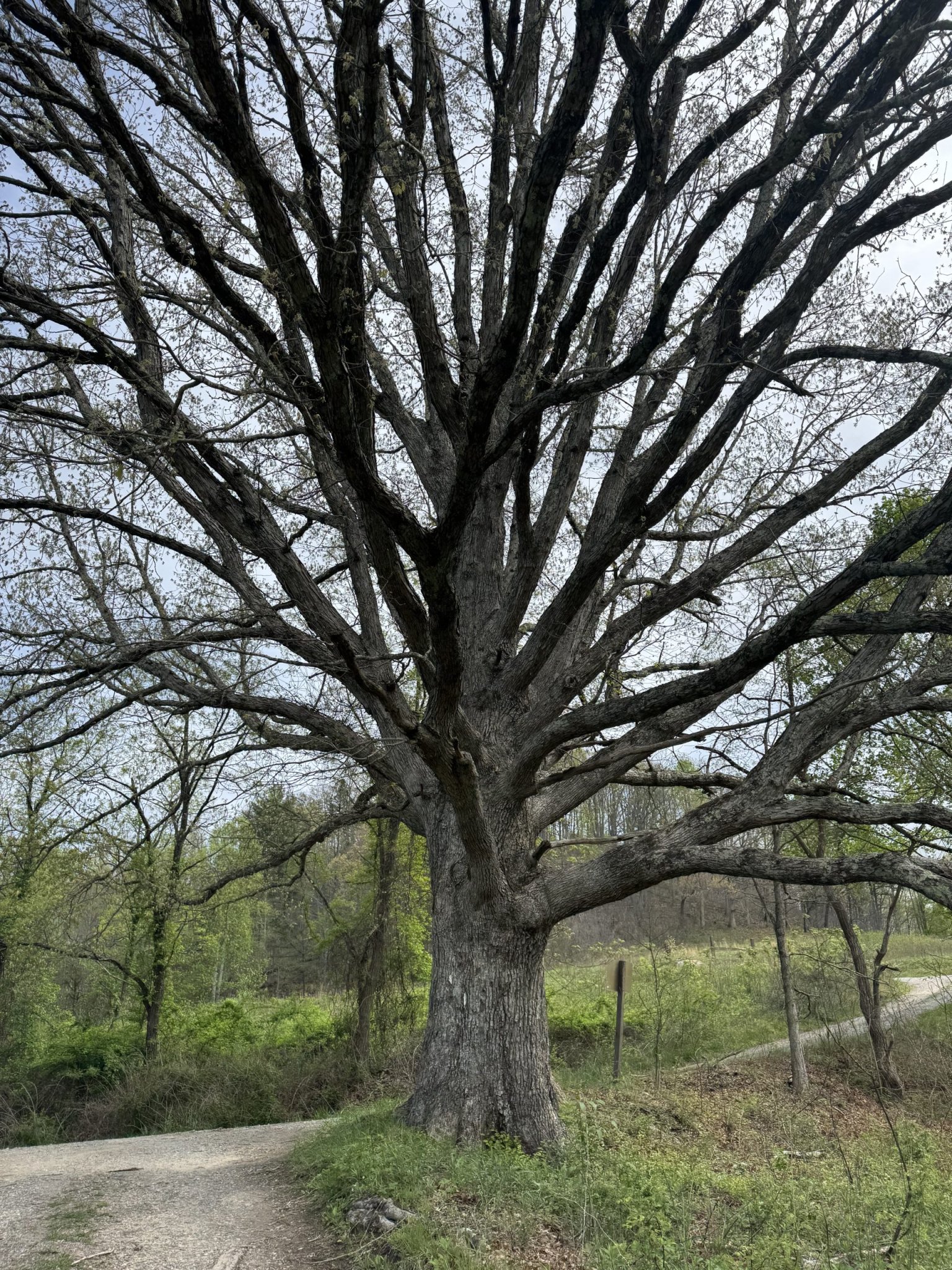 Hiking Solo but Never Alone, Week Four