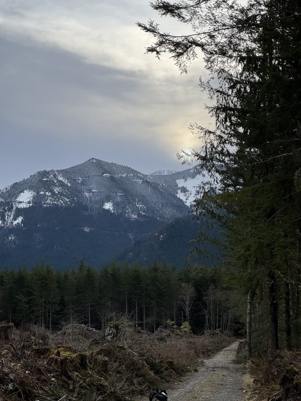 The Calm Before the Storm & Thru-Hike Media Recommendations