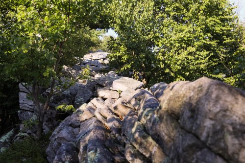 Pennsylvania & Maryland: No Room to Wander