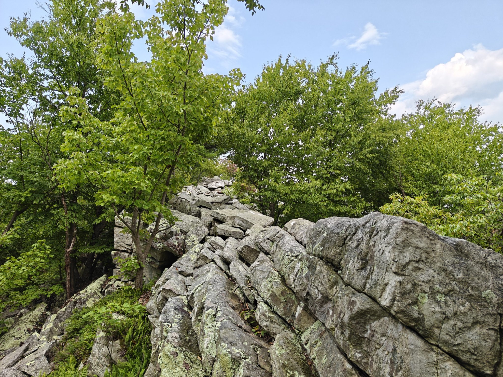 Dealing with the rocks (Day 97)