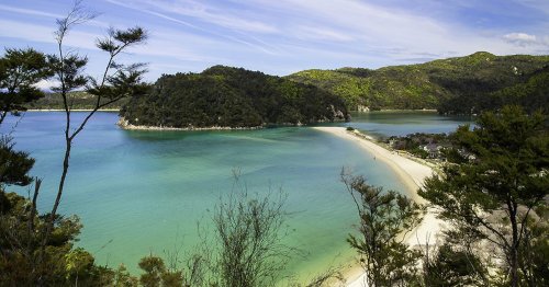 Pack The Car, Here Are The 7 Best Camping Spots Around Nelson