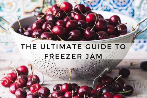The ULTIMATE Guide to Freezer Jam