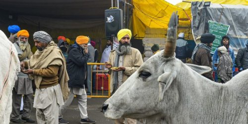 Farm Ordinances Passed Without NITI Aayog Appraising 'High-Powered' CMs Panel Report: RTI