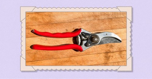 The Best Gardening Tool I’ve Ever Owned Is My Grandmother’s 30-Year-Old Pair of Pruners