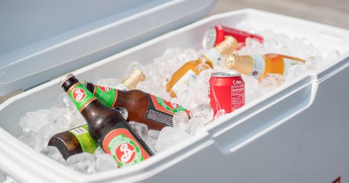 The Best Coolers