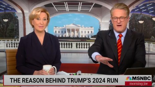 ‘Morning Joe’: Mika Brzezinski Snipes That Trump ‘Still Can’t’ Get His Kids Out to Support Him (Video)