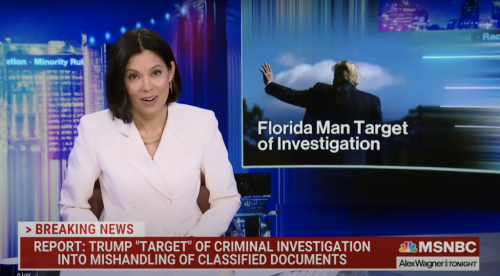 ‘Alex Wagner Tonight’ Refers to Trump Simply as ‘Florida Man’ in Chyron About Investigation (Video)