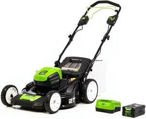 The Best Mulching Lawn Mowers — TheZ6