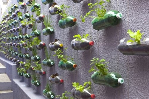 Urban Vertical Garden Built From Hundreds of Recycled Soda Bottles — Colossal