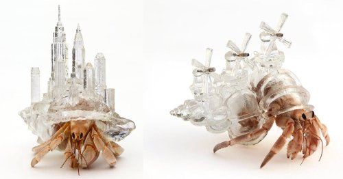 Global Architecture Rises from Resin Hermit Crab Shells in Aki Inomata's Consideration of Home and Borders — Colossal