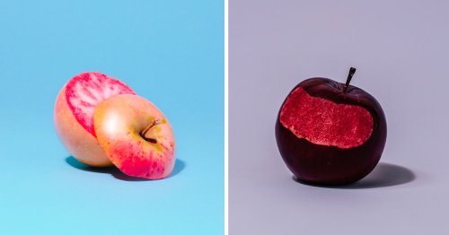 Odd Apples: A New Photo Book Celebrates the Strange and Enchanting Fruit